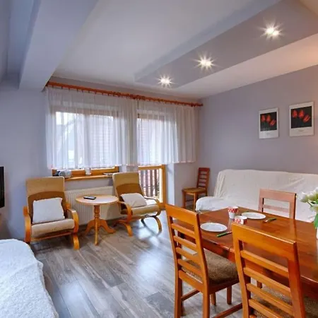 Central Apartment - Zakopane Stays - 10 People - Droga Na Bystre Exterior photo
